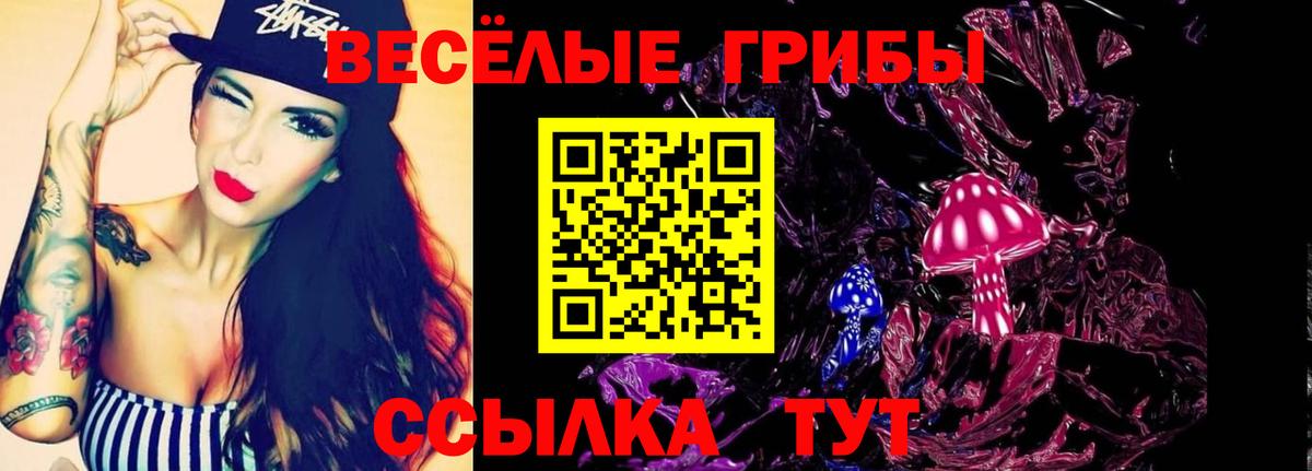 Галлюциногенные грибы мухоморы Чапаевск